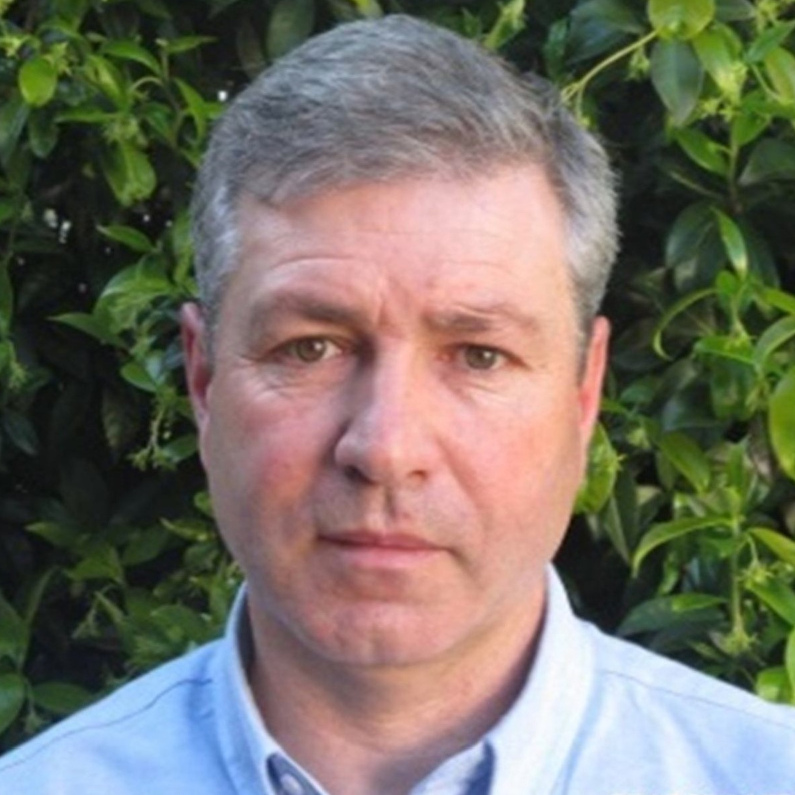 Vogal Baltasar Pereira