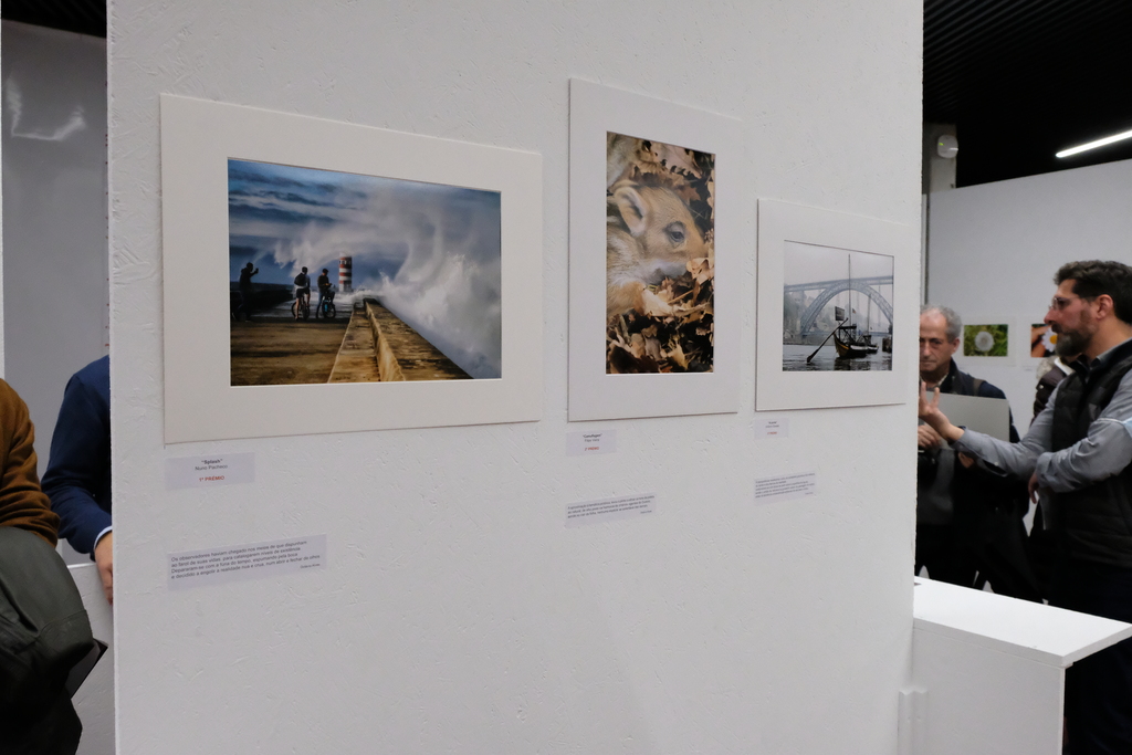 II Concurso de Fotografia do CCD Gaia