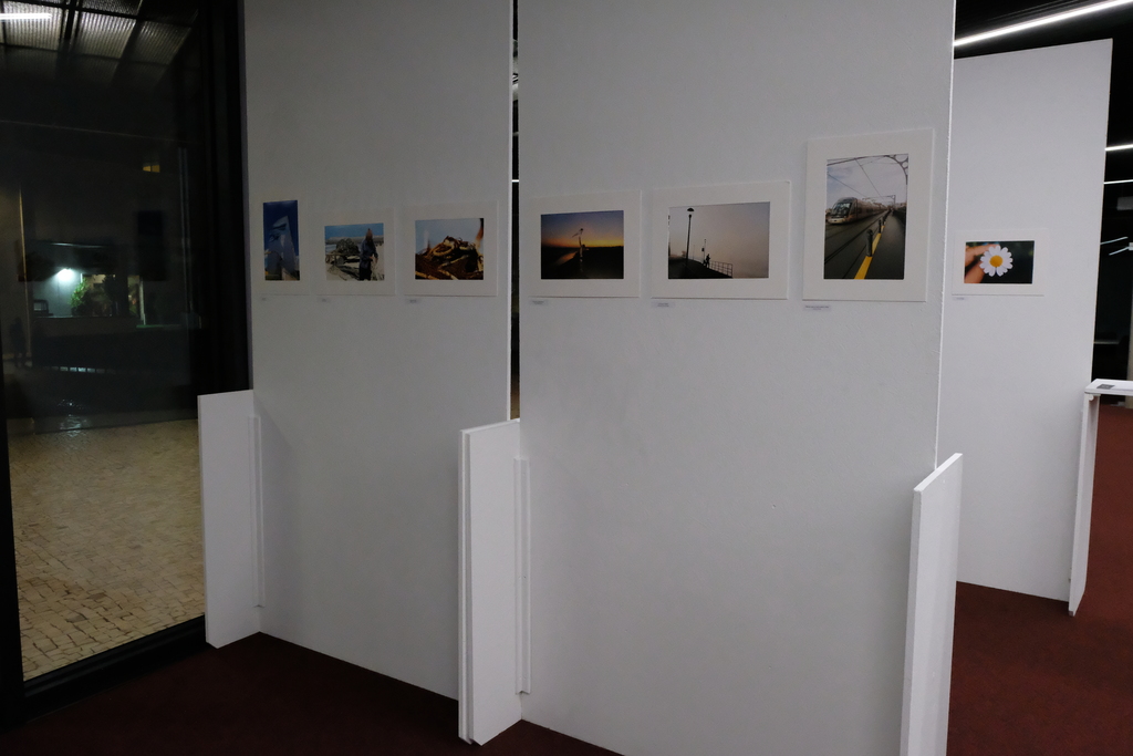 II Concurso de Fotografia do CCD Gaia