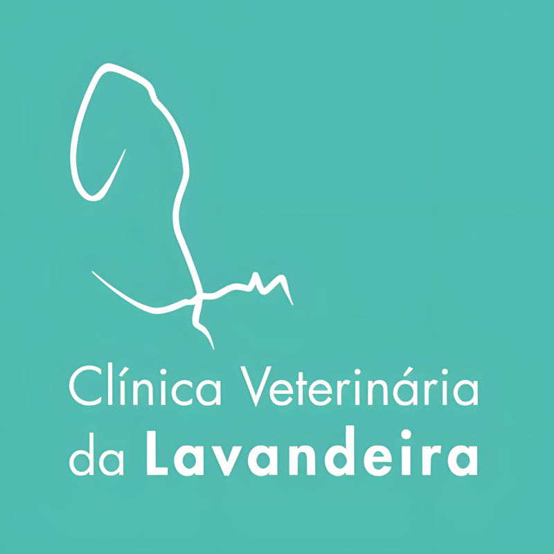 Clínica Veterinária da Lavandeira